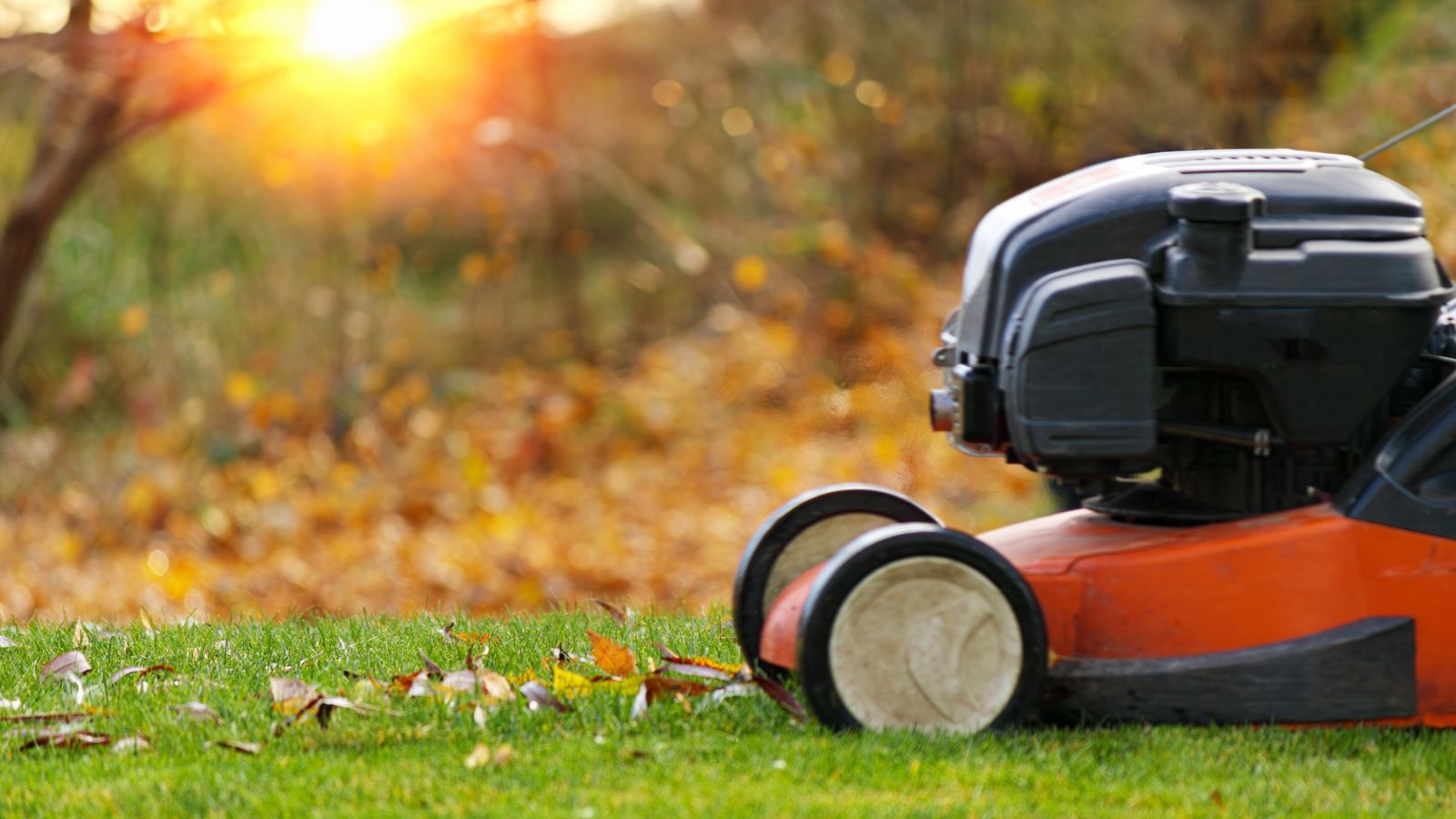 How Short Should You Mow Your Lawn In Fall?