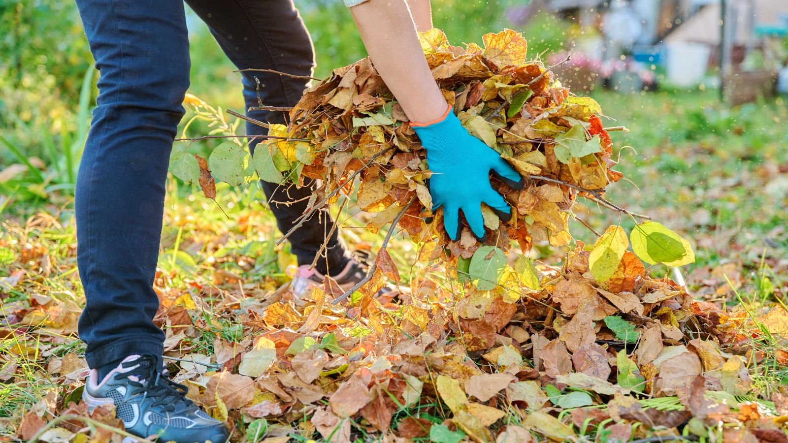 9 Gardening Tasks to Tackle this November