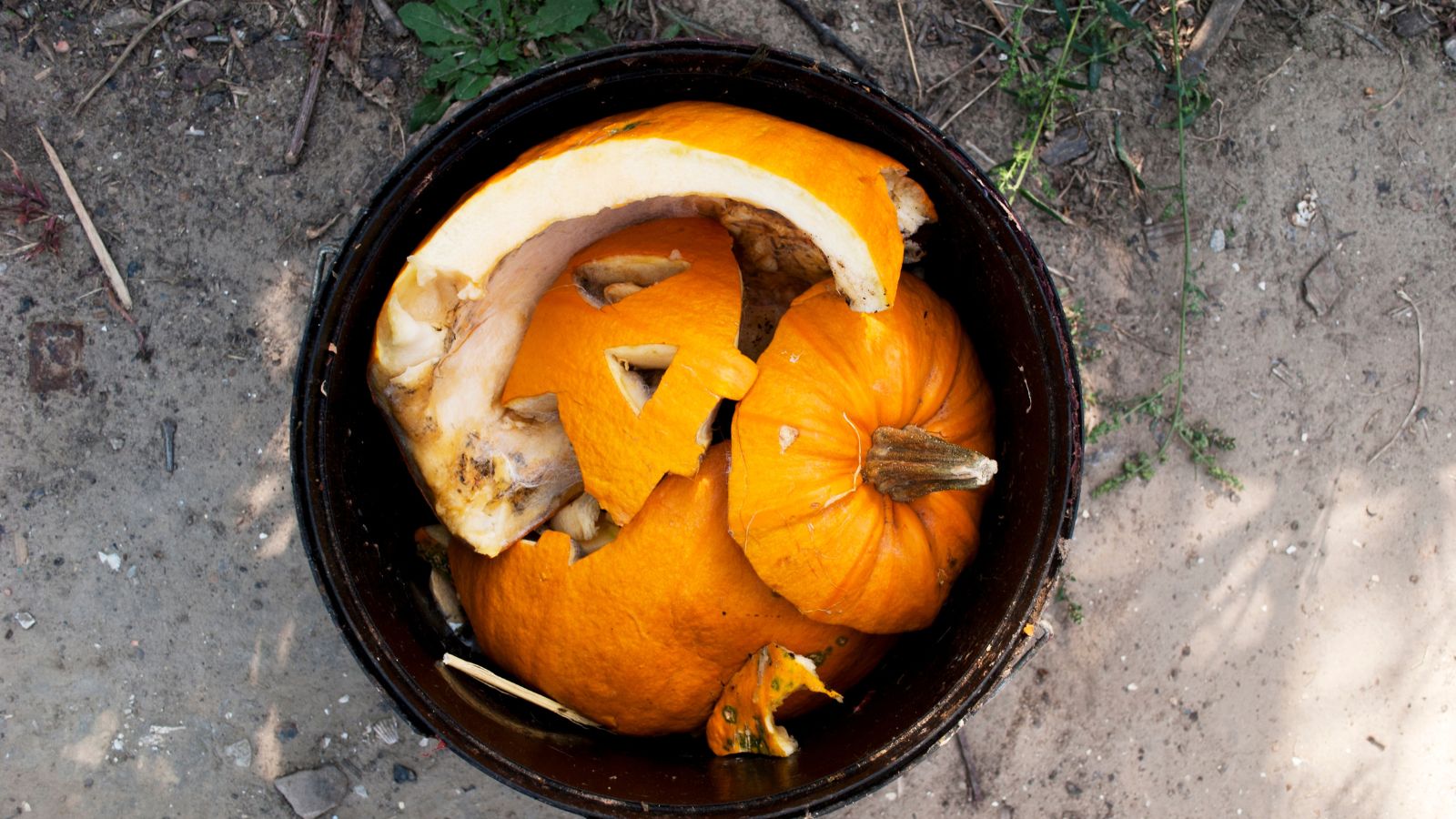 How to Compost Your Halloween Pumpkins