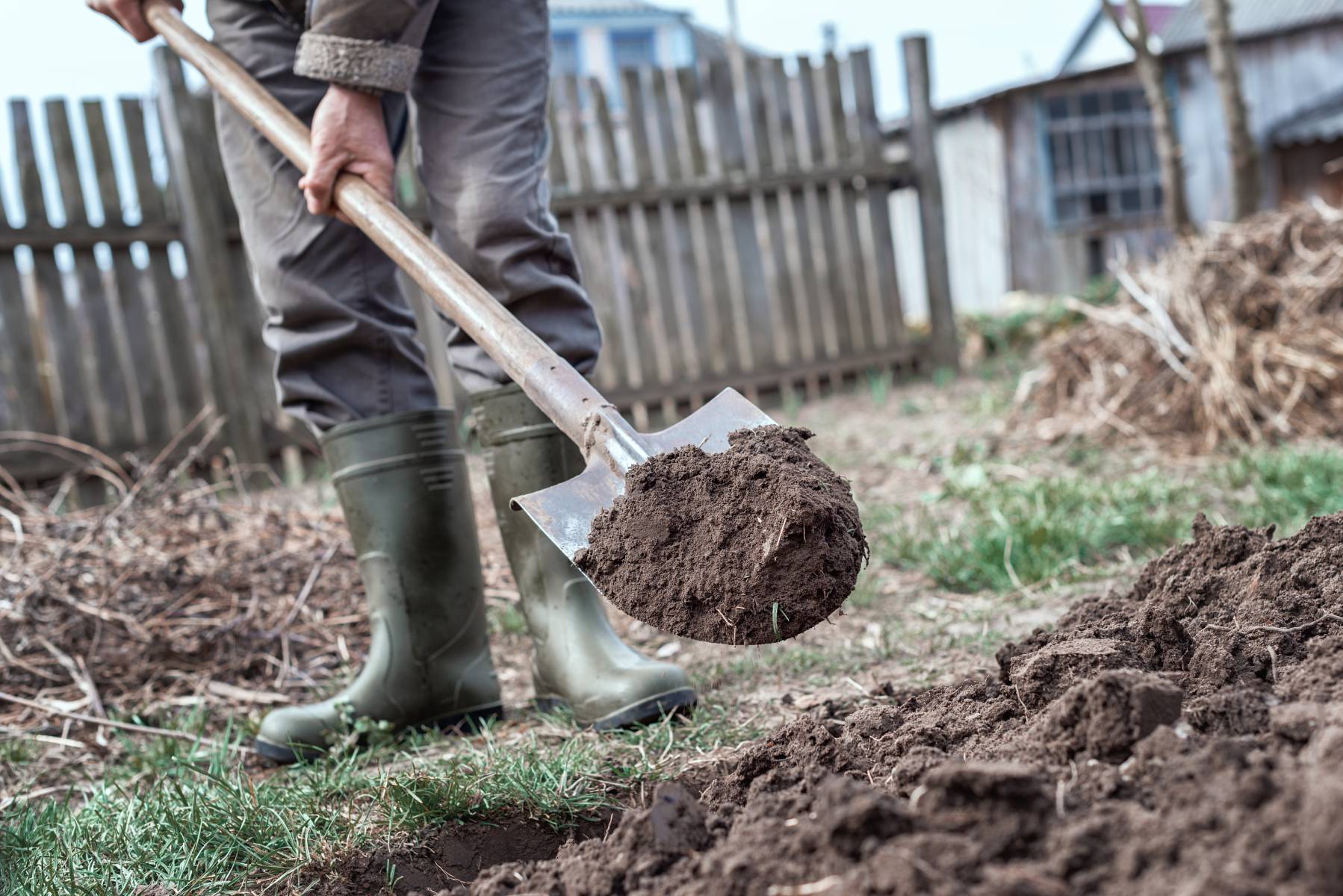 Use Cow Manure for Garden Weed Suppression – Mother Earth News