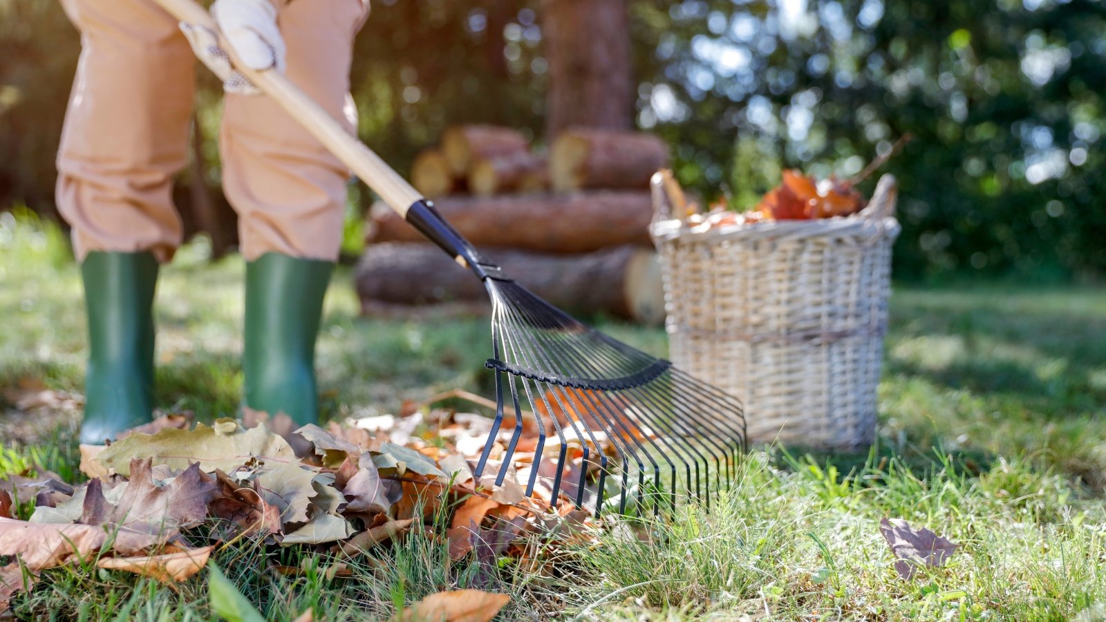 11 Fall Gardening Tasks You Shouldn’t Ignore