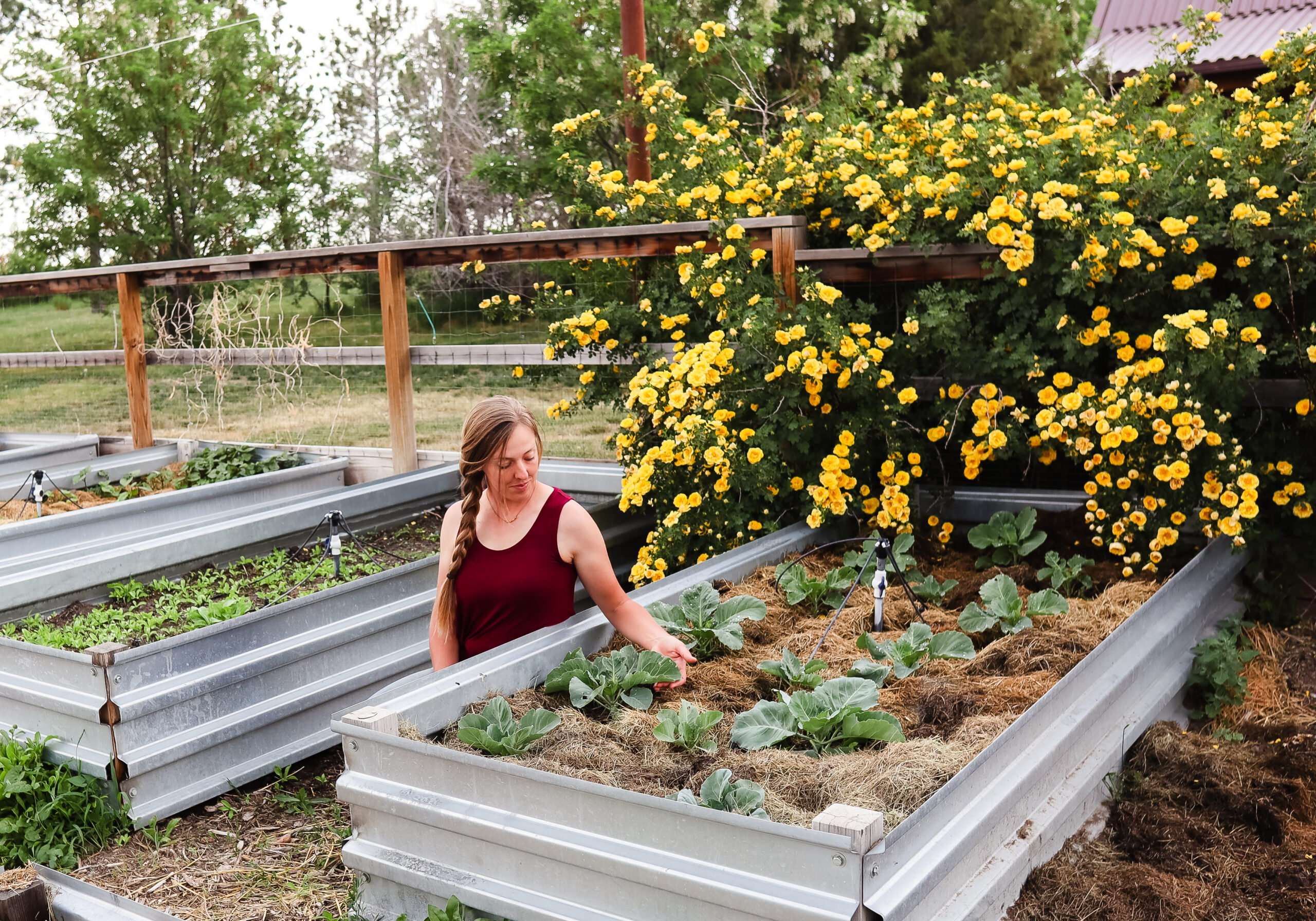 How I’m Letting My Garden Be Easy This Year • The Prairie Homestead