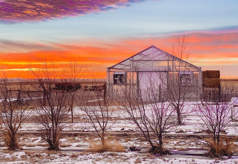 Ways to Heat Your Greenhouse in the Winter • The Prairie Homestead