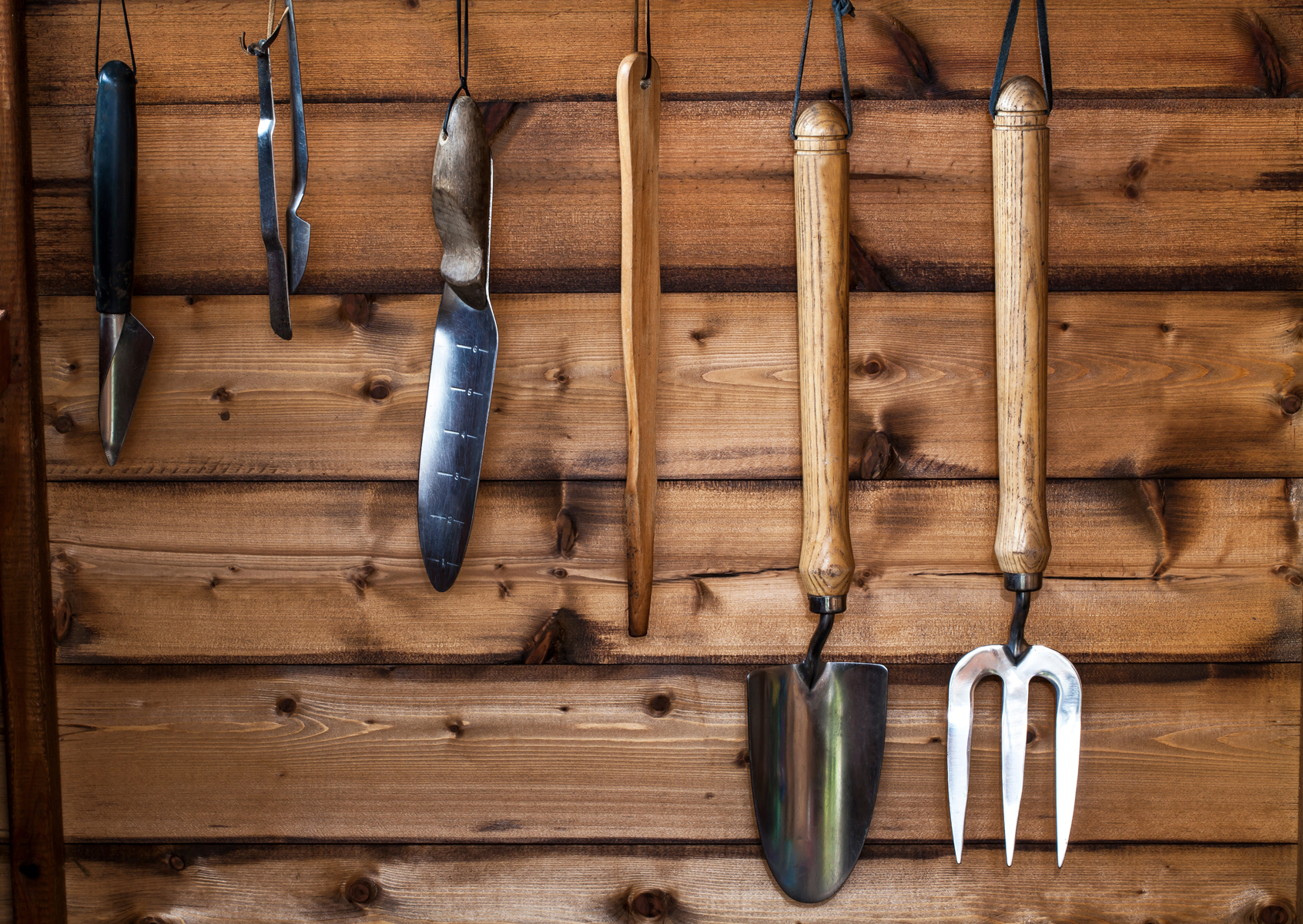 Essential Tools for Gardening – Mother Earth News