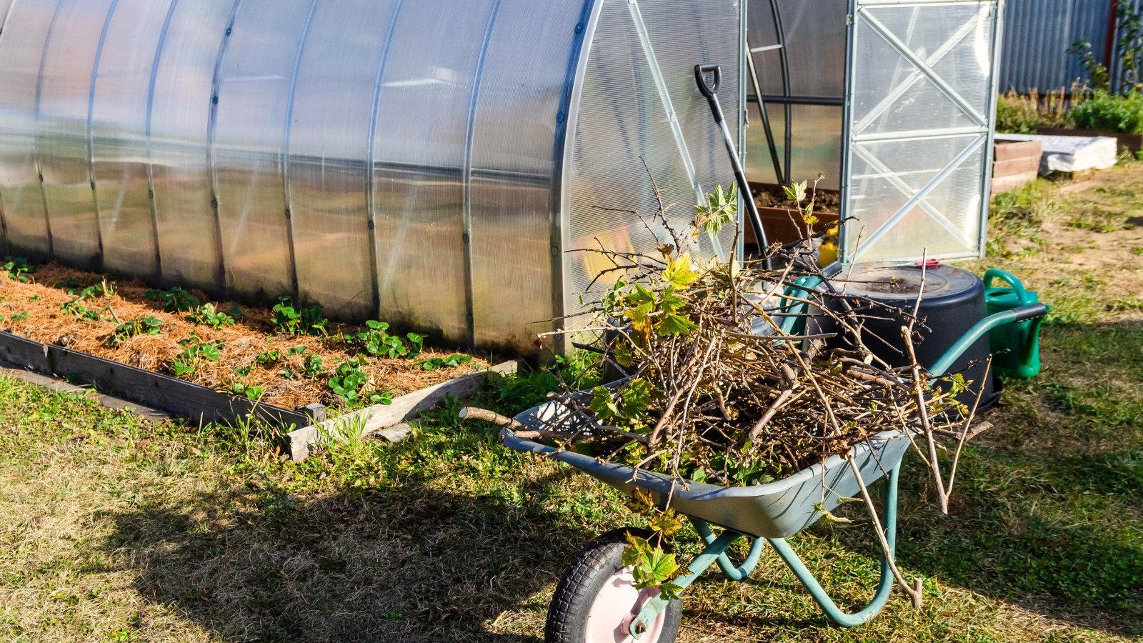 11 Essential Greenhouse Tasks You Should Do Before Winter