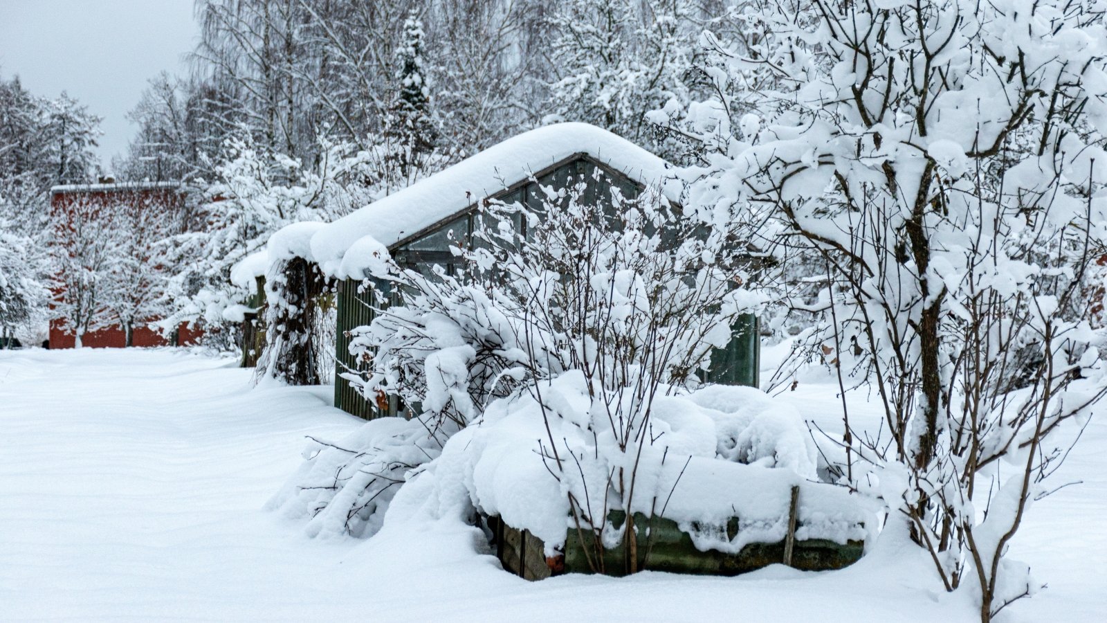 11 Winter Tasks to Do Now For an Abundant Spring Garden