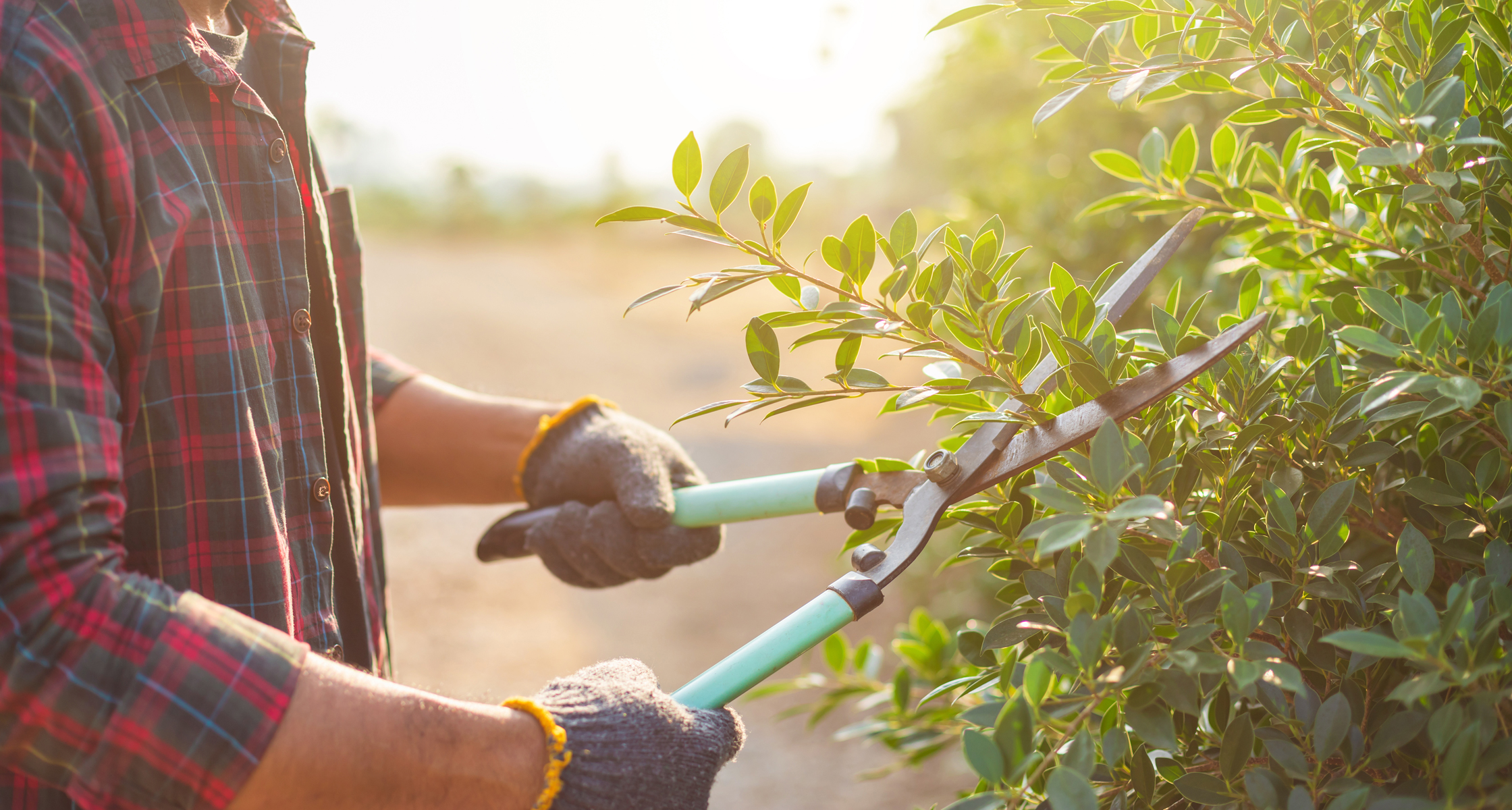 How to Sharpen and Maintain Gardening Tools (Video) – Mother Earth News